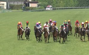 【競馬・天皇賞秋】カデナ、複勝３００万ワロ他ｗｗｗｗｗｗｗｗｗｗ