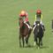 【競馬】カデナほどの復活をした馬って過去にいたの？