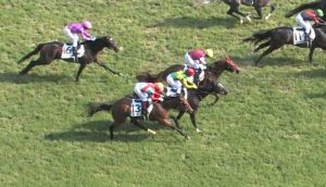 【競馬/ダービー】結構真剣にサトノアーサーにがっかりしてるやつ俺以外にいる？