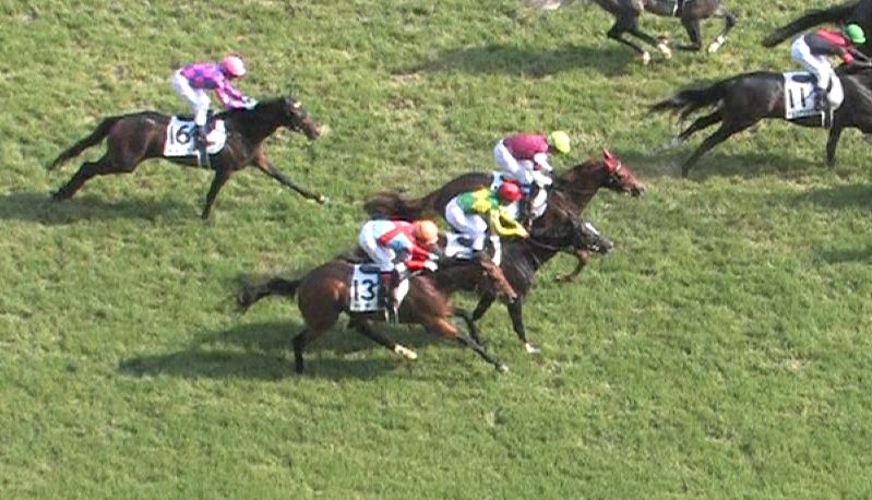 【競馬/ダービー】結構真剣にサトノアーサーにがっかりしてるやつ俺以外にいる? 【競馬/ダービー】結構真剣にサトノアーサーにがっかりしてるやつ俺以外にいる?