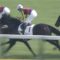 【競馬】ダンビュライトはAJCCへ