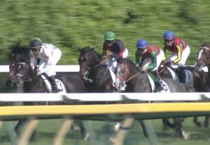 【競馬/ダービー】トラスト「一生懸命頑張ったよ」 【競馬/ダービー】トラスト「一生懸命頑張ったよ」