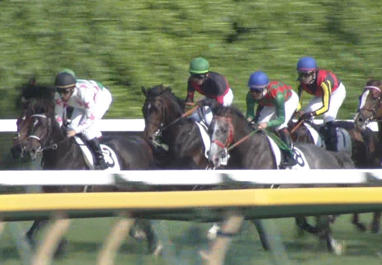 【競馬/ダービー】トラスト「一生懸命頑張ったよ」 【競馬/ダービー】トラスト「一生懸命頑張ったよ」