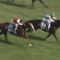 【競馬】去年のダービーでレイデオロじゃなくてスワーヴが勝っていたら