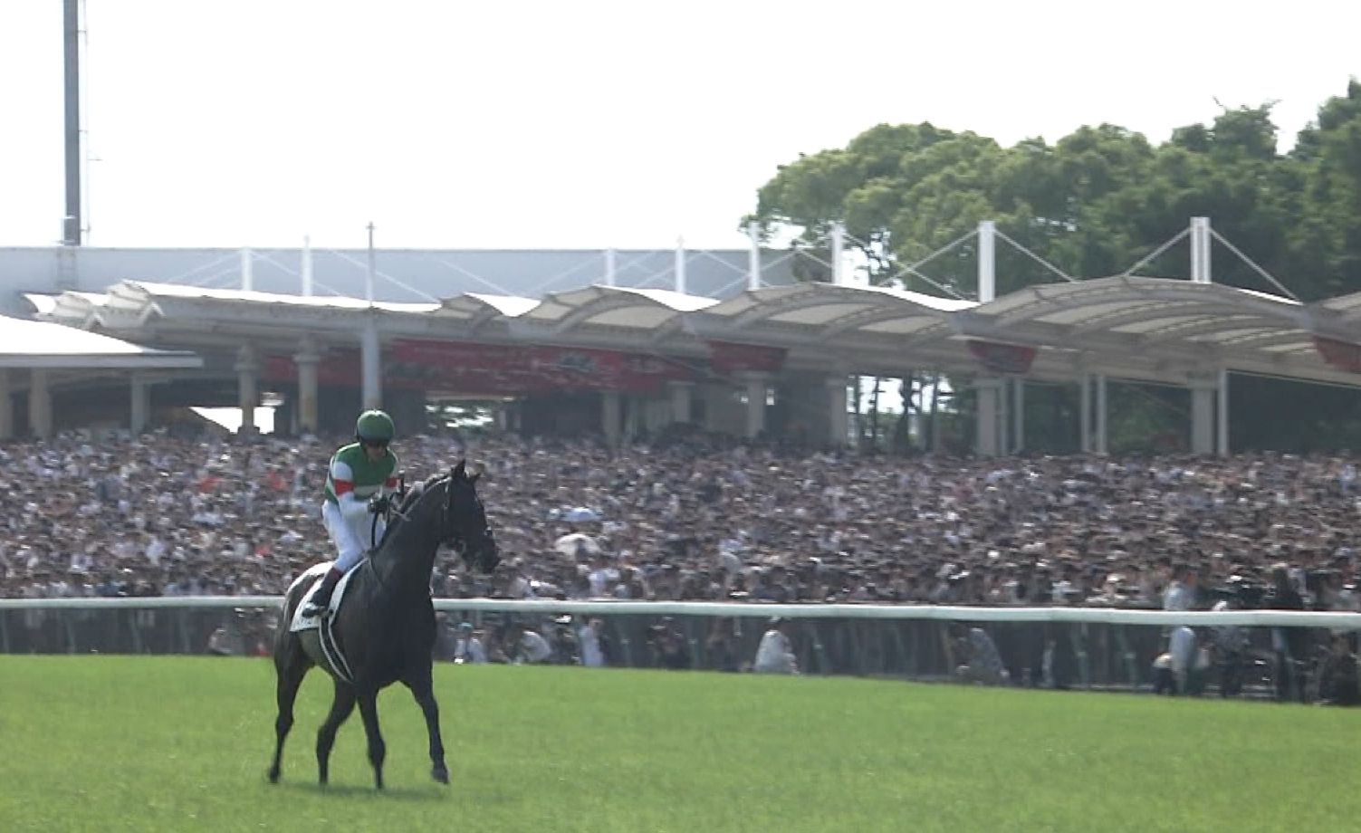 【競馬】日本ダービーの東京競馬場への来場者約115000人ってどう思う? 【競馬】日本ダービーの東京競馬場への来場者約115000人ってどう思う?