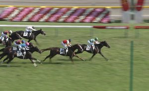 【競馬】このダービーを2人気→3人気→1人気で当てる一般人ｗｗｗｗｗｗｗｗｗｗｗ