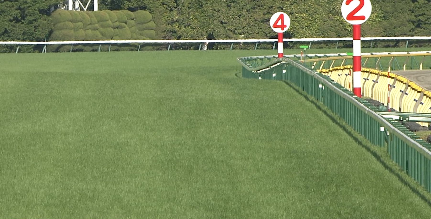 【競馬】東京競馬場はつまんないよな。直線が無駄に長いわ。