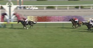【競馬】シルバーステート強すぎワロタｗｗｗｗｗｗｗ