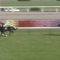 【競馬】シルバーステート強すぎワロタｗｗｗｗｗｗｗ