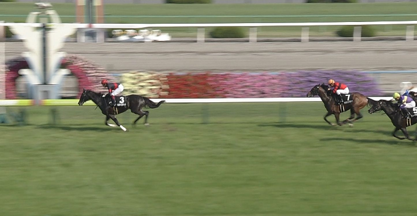 【競馬】シルバーステート強すぎワロタｗｗｗｗｗｗｗ