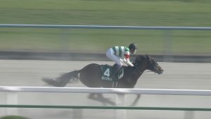 【競馬】クリソライト故障。種子骨靭帯を傷めて休養へ 【競馬】クリソライト故障。種子骨靭帯を傷めて休養へ