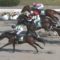 【競馬/平安S】武豊降ろして福永って普通に考えたらおかしいよな