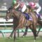 【競馬】アルアイン、川田とのコンビでマイルCSへ