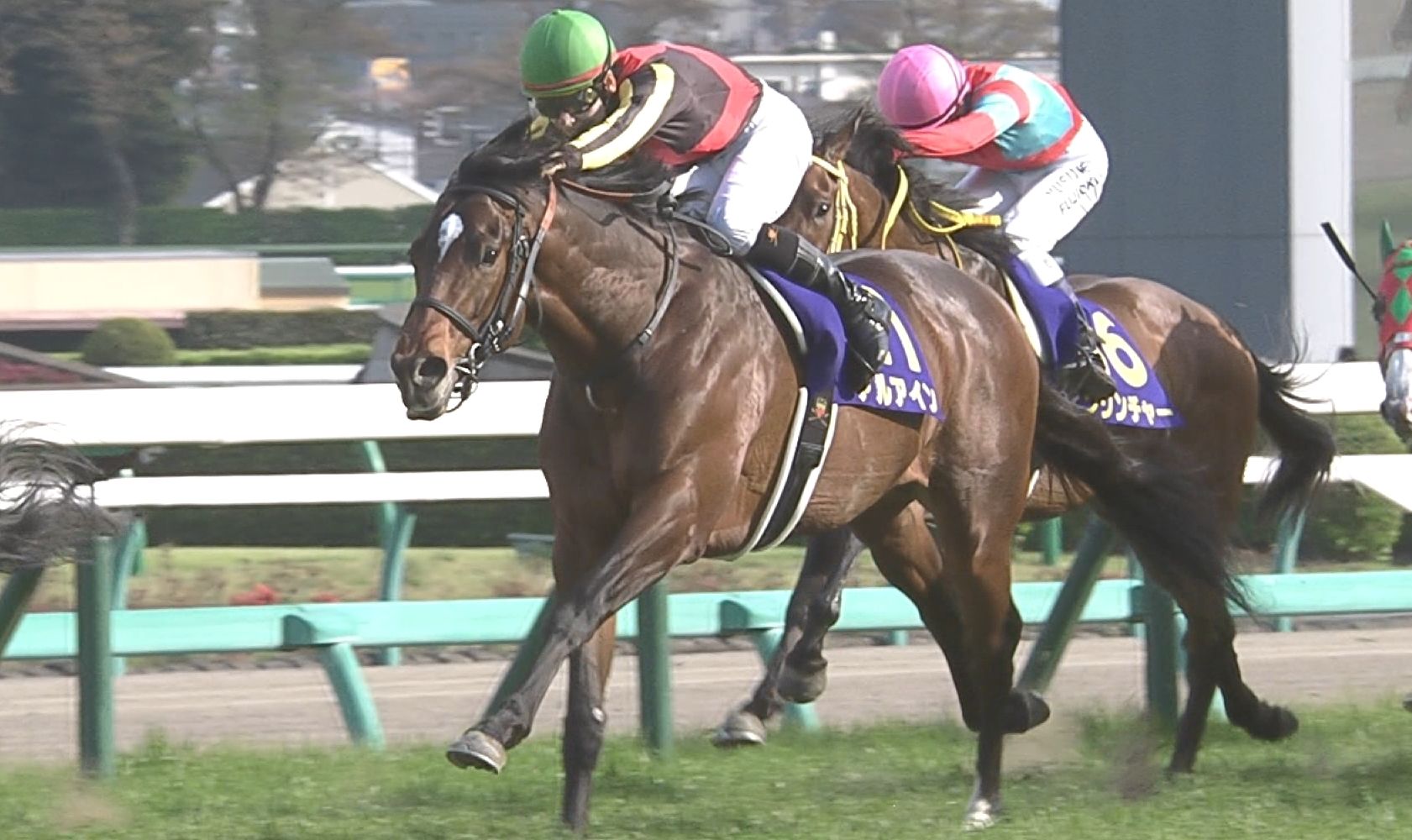 【競馬/ダービー】内枠ひいたらアルアイン確勝 【競馬/ダービー】内枠ひいたらアルアイン確勝