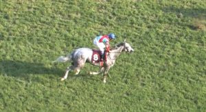 【競馬/目黒記念】武豊騎手(ラニ=17着)「ダートと同じような脚しか使えなかった」 【競馬/目黒記念】武豊騎手(ラニ=17着)「ダートと同じような脚しか使えなかった」