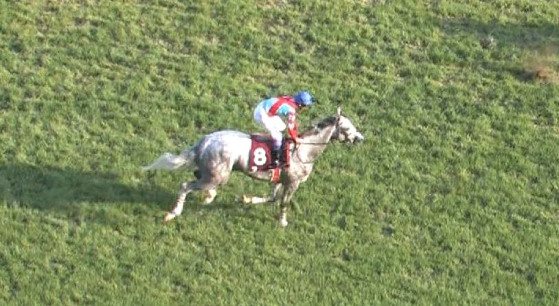 【競馬/目黒記念】武豊騎手(ラニ=17着)「ダートと同じような脚しか使えなかった」 【競馬/目黒記念】武豊騎手(ラニ=17着)「ダートと同じような脚しか使えなかった」