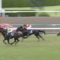 【競馬】最近の宝塚記念が雨に強い馬が勝つだけの糞レースと化してる問題