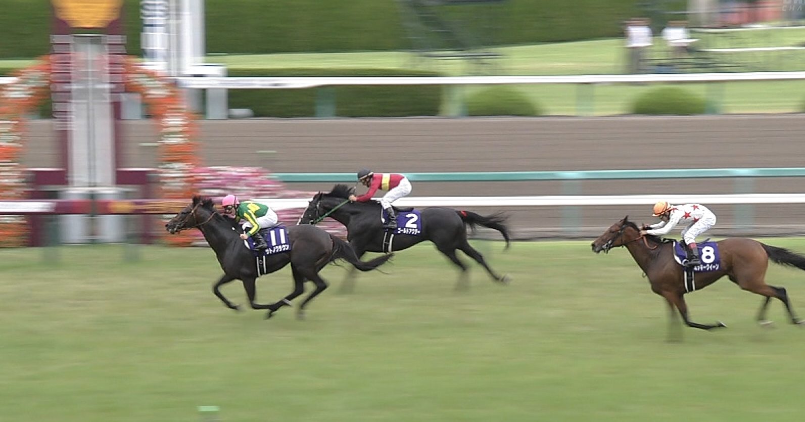 【競馬】最近の宝塚記念が雨に強い馬が勝つだけの糞レースと化してる問題 【競馬】最近の宝塚記念が雨に強い馬が勝つだけの糞レースと化してる問題