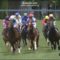 【競馬】今年の2歳もディープディープディープ