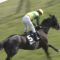 【競馬】ウチパク本日5勝目