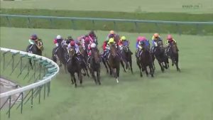 【競馬】ナカヤマフェスタとは何だったのか