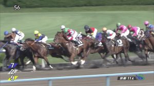 【競馬】netkeibaのコウエイエンブレムの掲示板ｗｗｗｗ