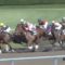 【競馬】コウエイエンブレムってバカ強くね？