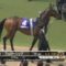 【競馬/安田記念】ショウワモダンの地味な勝利を地味に思い出すスレ