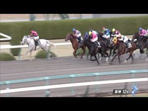 【競馬】タールタン引退