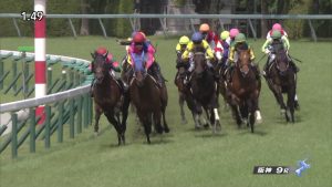 【競馬】サトノシャーク生田特別を快勝！菊の秘密兵器に！？