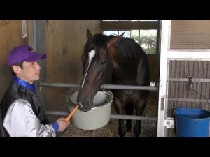 【競馬/有馬記念】キタサンブラック1週前追い切り無名の併走馬の馬なりに一杯で遅れる