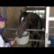 【競馬/有馬記念】キタサンブラック1週前追い切り無名の併走馬の馬なりに一杯で遅れる