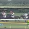 【競馬】ロジユニヴァース産駒デビュー