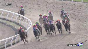 【競馬】テイエムジンソクは遂に現れたクロフネの後継馬だ！！！