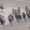 【競馬】テイエムジンソクは遂に現れたクロフネの後継馬だ！！！