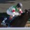 【競馬】ベルモントＳ出走エピカリス、米出発が大幅に遅れる