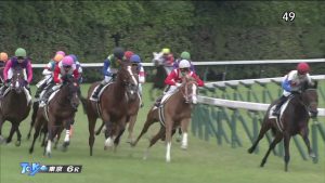 【競馬/2歳新馬】ミヤビフィオーラワロタwwwww 【競馬/2歳新馬】ミヤビフィオーラワロタwwwww