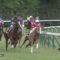 【競馬/2歳新馬】ミヤビフィオーラワロタwwwww