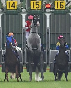 【競馬】ゴールドシップとは何だったのか