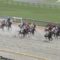 【競馬】モレイラよれすぎwww