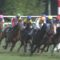 【競馬】小島良太がルメールの騎乗に鬱憤･･「神騎乗て…うちの馬で予行練習してただけでしょ」