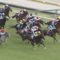 【競馬/安田記念】ルメール史上最低の糞騎乗！！始終詰まって抜け出せず