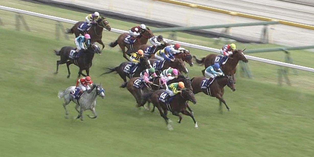 【競馬/安田記念】ルメール史上最低の糞騎乗!!始終詰まって抜け出せず 【競馬/安田記念】ルメール史上最低の糞騎乗!!始終詰まって抜け出せず