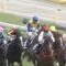 【競馬】武豊騎手「僕の判断ミス。良いレースが出来なかった」