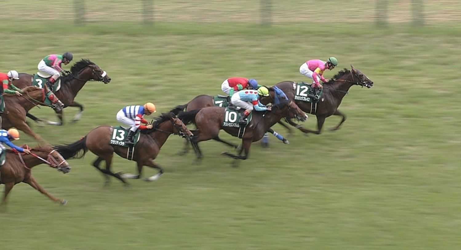 【競馬】エプソムカップ反省会 【競馬】エプソムカップ反省会