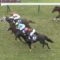 【競馬/宝塚記念】キタサンブラック清水調教師「疲労ではない。状態も完璧だった。敗因は『馬場』。」