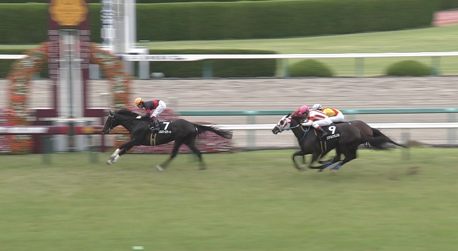 【競馬】シルバーステート強すぎwwwww 阪神・芝1800コースレコードタイ1.44.5 【競馬】シルバーステート強すぎwwwww 阪神・芝1800コースレコードタイ1.44.5