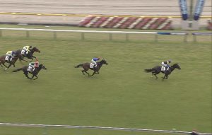 【競馬】モクレレに続いてジナンボーも骨折 → 誤報でした 【競馬】モクレレに続いてジナンボーも骨折 → 誤報でした
