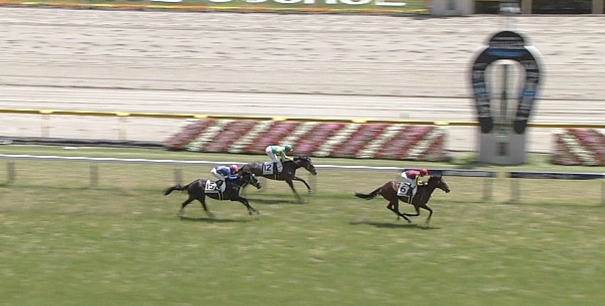 【競馬】ステルヴィオの新馬戦のタイムランクがAwwwwwwww