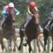 【競馬】皐月賞４着のステルヴィオ、次走ダービー決定